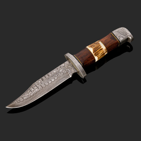 Classic Hunter - Damascus Knife (Stag & Walnut)