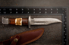 Classic Hunter - Damascus Knife (Stag & Walnut)