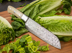 Santoku Knife